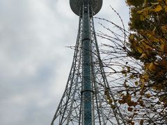 -龙塔
