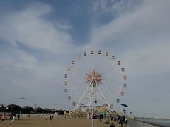 -碧海金沙