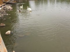 -河北村民俗体验园
