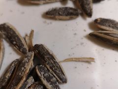 -老村长大锅炖羊肉(榆林大道店)