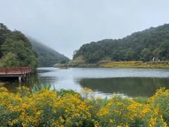 -广州市石门国家森林公园