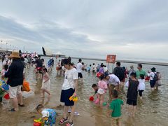 -碧海金沙