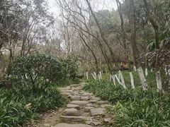 -杭州半山国家森林公园