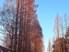-云间粮仓