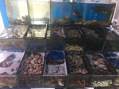 -蚝专家