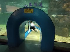 -福州罗源湾海洋世界旅游区