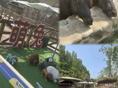 -静之湖度假区