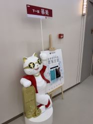 -小忠丽格医美