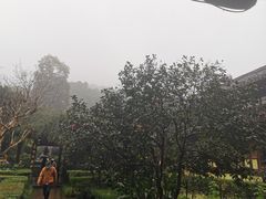 -峨眉山报国寺