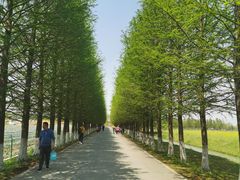 -嘉北郊野公园