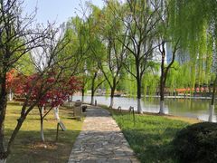 -白塘生态植物园