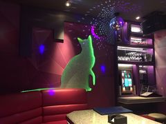 -米乐星世界KTV(汇智国际商业中心店)