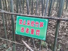 -龙头寺公园