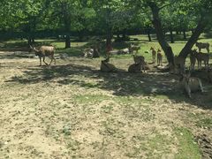 -西安秦岭野生动物园