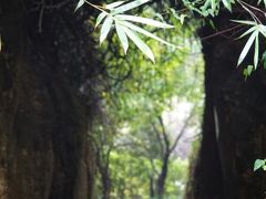 -柯岩风景区