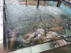 -东江湖游水三文鱼美食城
