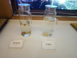 -Yestar艺星医疗美容医院