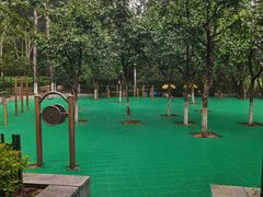 -西安市长乐公园