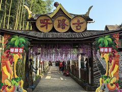 -呀路古热带植物园