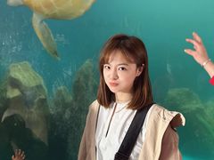 -广东惠东海龟国家级自然保护区