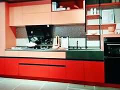 -佰丽爱家全屋定制(汶水店)