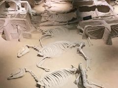 -洛阳周王城天子驾六博物馆