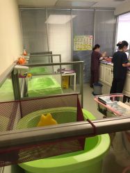 -弗蕾亚·和月月子调理院(东湖店)