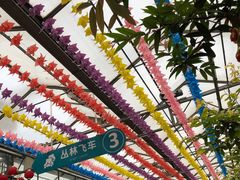 -南宫五洲植物乐园