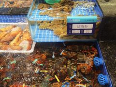 -东海怡品海鲜豆捞(舟宿夜江店)