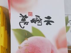 -老袁家蜜桃农场·阳山水蜜桃