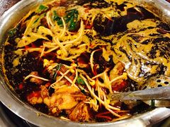 -中和远东火锅兔(老店)
