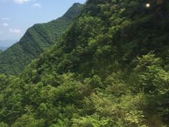 -秦岭天竺山景区