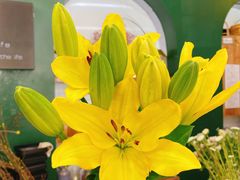 -森野花艺培训·企业团建活动沙龙