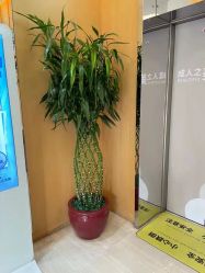 -天津伊美尔医疗整形美容专科医院