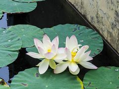 -郑东新区湿地公园