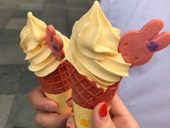 -麦当劳(石家庄北国店)