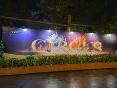 -广州长隆国际大马戏