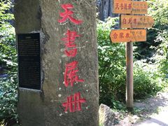 -望天鹅景区