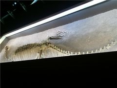 -世界恐龙谷景区