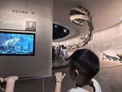 -自贡恐龙博物馆