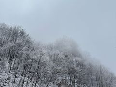 -洛阳白云山景区