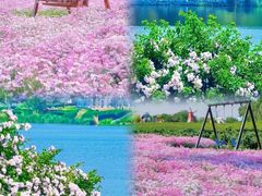 -永红源啤酒·烧烤·海鲜·大排档(青特城店)