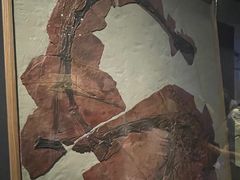 -贵州省博物馆(新馆)