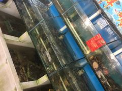 水产区-阿弟特色海鲜餐厅·大排档(平潭店)