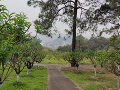 -广州莲花山旅游区