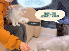 -怪兽屋·羊驼·猫咖·狗咖(俊华广场店)