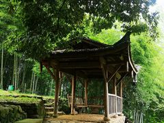 -杨家堂村