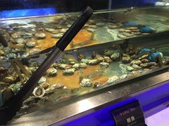 鲍鱼-V-ONE西雅图海鲜自助餐厅(仓山万达广场店)