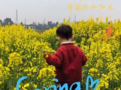 -白鹭湾湿地公园