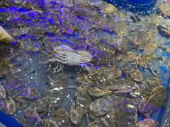 -澜悦港海鲜体验主题餐厅